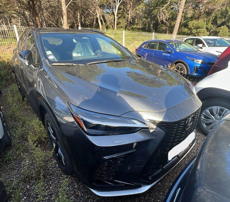 LEXUS NX 450h HYBRIDE 4WD F SPORT EXECUTIVE - 01/2023 - 34.526 KMS