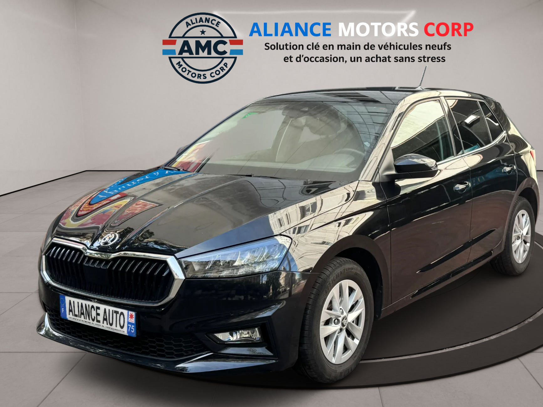 FABIA SELECTION 1.0 TSI EVO2 116CH DSG - MARS 2025 - 35.301 KMS
